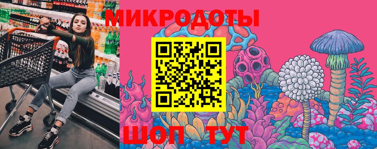 Псилоцибиновые грибы Psilocybe Рославль