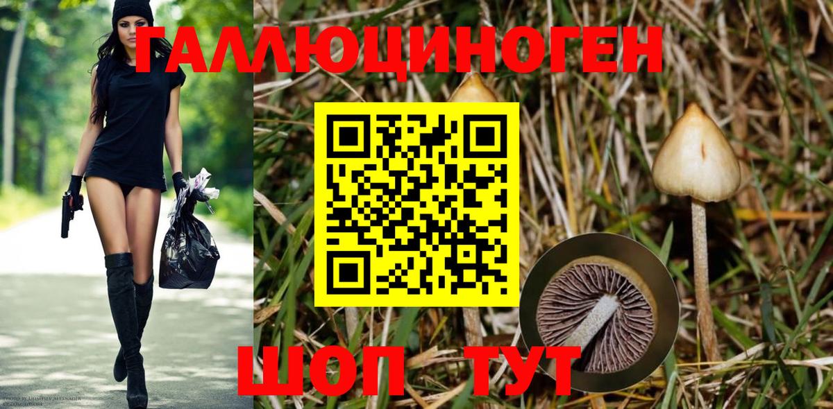 Рославль  Галлюциногенные грибы мицелий  Вход с VPN 